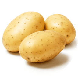 Potato